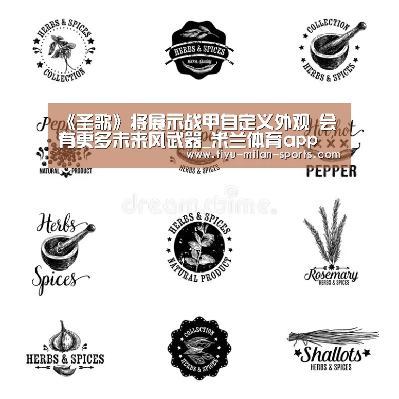 《圣歌》将展示战甲自定义外观 会有更多未来风武器_米兰体育app(图2) 米兰体育app下载