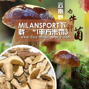MILANSPORT下载-“1平方米罚3元”是对非法占地的纵容(图2) 米兰体育app官网
